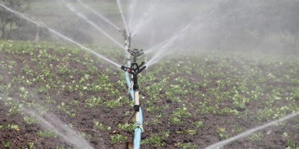 irrigation-588941__340